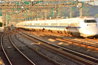 DSC_3777 (Large).JPG